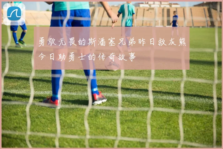 勇敢无畏的斯潘塞兄弟昨日救灰熊今日助勇士的传奇故事